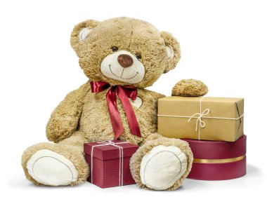 Sevimli bir oyuncak ayı. Etrafı güzel paketlenmiş hediyelerle çevrili. Sevdiklerine hediye etmek için ideal. Oyuncak ayı beyazda tek başına.