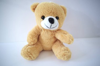 beyaz zemin üzerinde kahverengi ayıcık