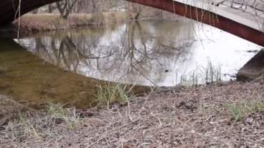 Bridge over Lake, Trees in a Park, Nature Outdoors