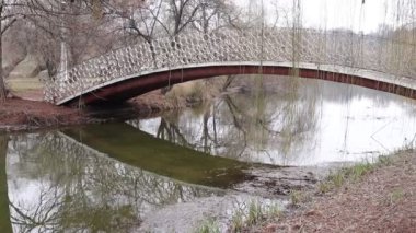 Bridge over Lake, Trees in a Park, Nature Outdoors