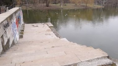 Göldeki su kuşları, doğa ördekler, martılar