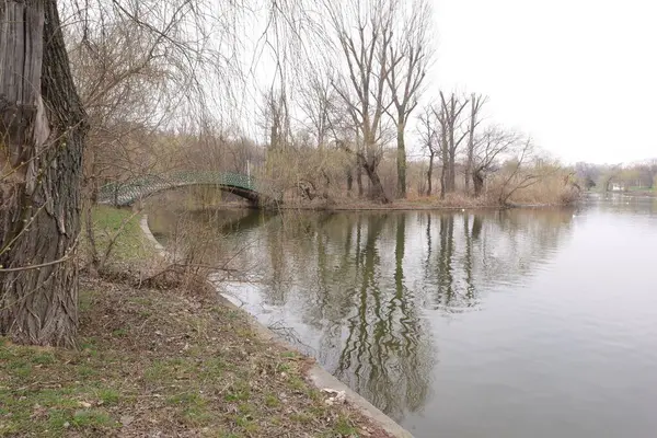 公园里的河流 — 图库照片