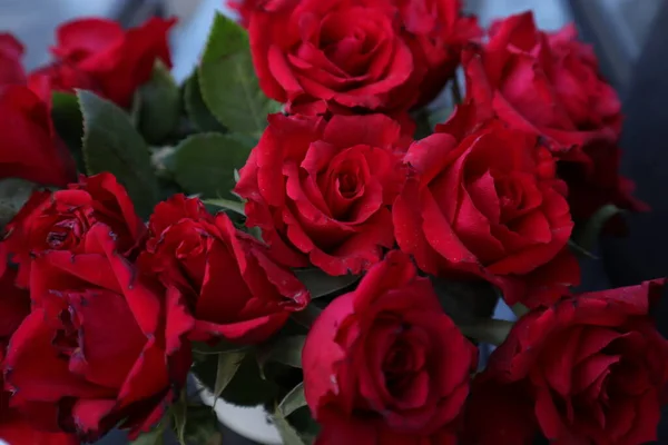 Schöne Rote Rosen Einer Vase Auf Weißem Hintergrund — Stockfoto