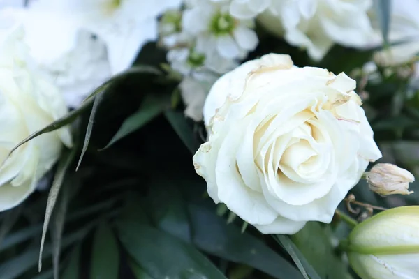 stock image beautiful white roses in the garden