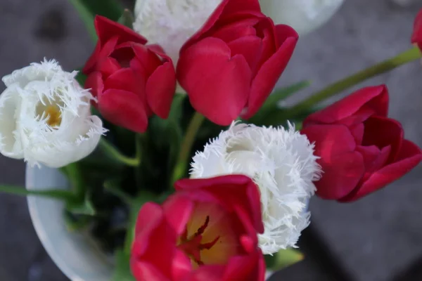 Piękny Bukiet Tulipany Wazonie — Zdjęcie stockowe