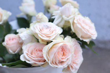 Bir buket pembe gül, yaklaşın.