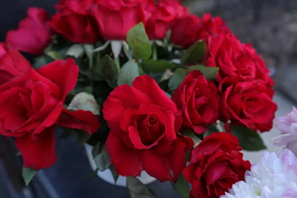 Schöne Rosa Blumen Einer Vase Auf Einem Hintergrund Aus Dunkelrotem — Stockfoto