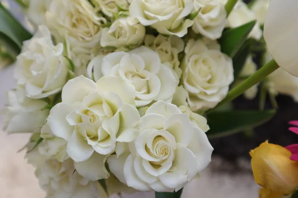 stock image beautiful white roses on a background of flowers