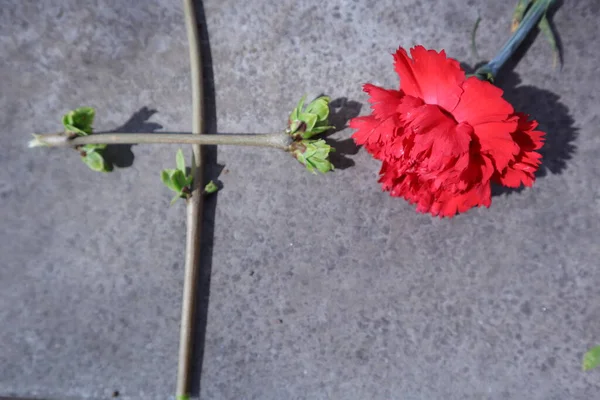 Christliches Kreuz Aus Grünen Zweigen Und Frühlingsblumen Glaube — Stockfoto