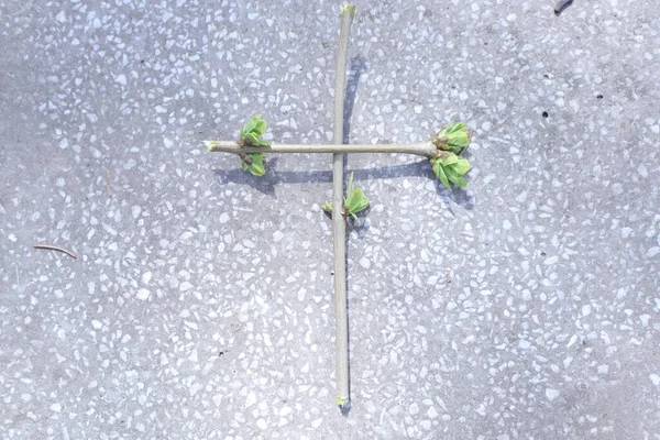 緑の小枝と春の花で作られたクリスティアン クロス — ストック写真