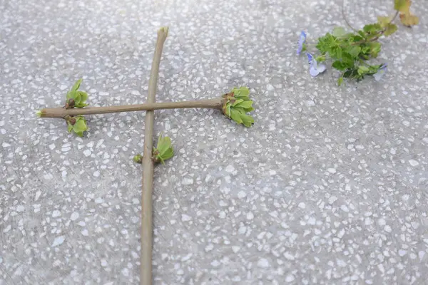 緑の小枝と春の花で作られたクリスティアン クロス — ストック写真