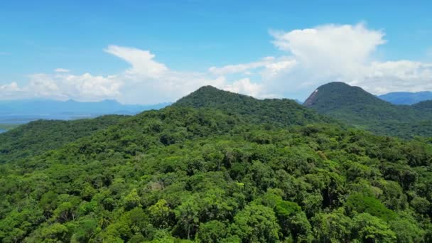 Relaxing View Mountain Forest — Vídeo de Stock