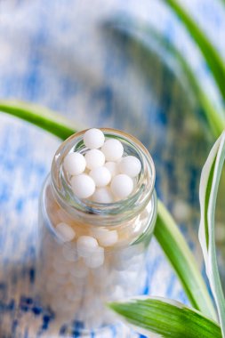 Beyaz arka planda cam bir şişedeki Ganules yaprakları ve çiçekleri bulanık..