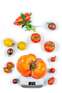 Elektronik ölçekte domates, kırpılmış beyaz arkaplan üzerinde çeşitli diğer türlerin üst görünümü ile çevrili.