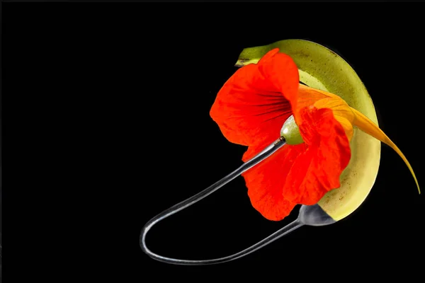 Banana Caupucine Flower Connected Each Other Subtituating Hearing Aid Situation — Stock Photo, Image