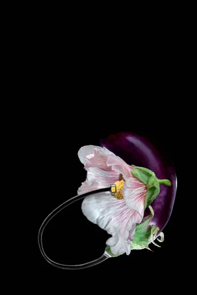 Tojásgyümölcs Virág Összekapcsolása Hallókészülékkel Egyik Fülben — Stock Fotó
