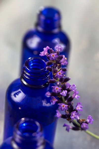 Närbild Den Mellersta Flaskan Dykning Med Kvist Ren Lavendel — Stockfoto