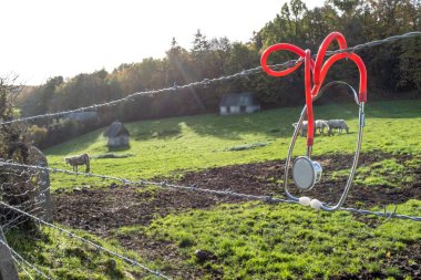 Stethoscope in close-up in front of a rural landscape with rosters in a field. clipart