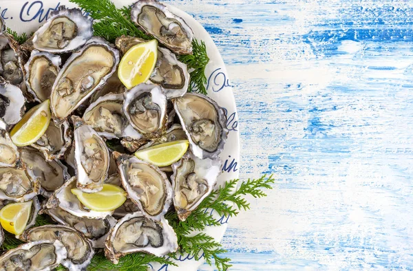 Fresh Oysters Lime Plate Oyster Season Seafood Dish Blue Background — Stock Photo, Image