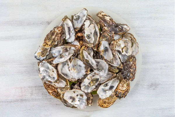Oyster Shells Seen Gathered Many Virtues — Stock Photo, Image