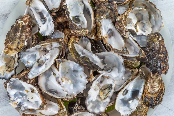 Oyster Shells Close Seen Gathered Many Virtues — Stock Photo, Image