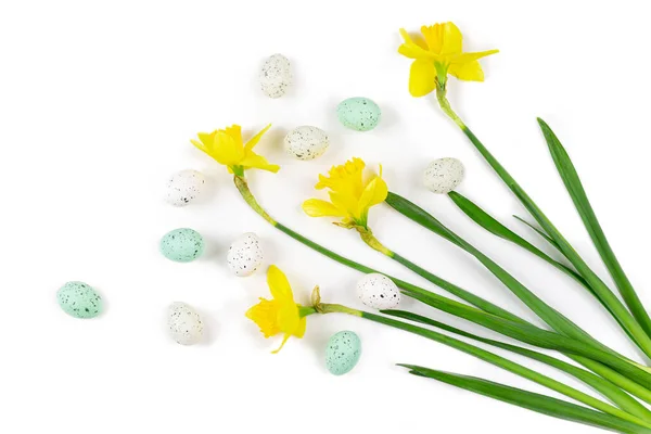 Flowers Seen Green White Eggs Wit Narcissus — Stockfoto