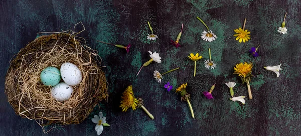 Flowers Eggs View Dark Background — Stockfoto