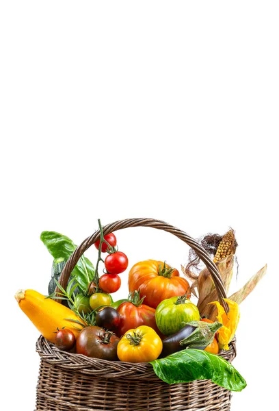 Sebzeli Sepet Lahana Havuç Salatalık Turp Biber Doğanın Arka Planında — Stok fotoğraf