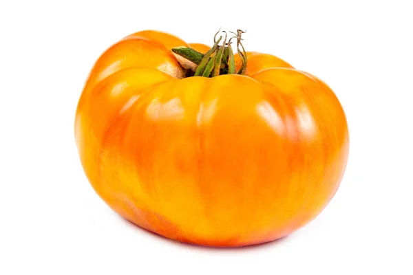 Hela Gula Och Orange Tomater Vit Bakgrund — Stockfoto