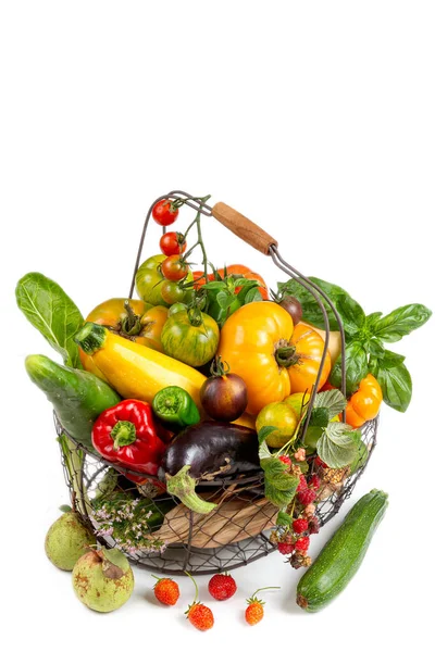 Basket Vegetables Cabbage Carrots Cucumbers Radish Peppers Hands Farmer Background — Stock Photo, Image