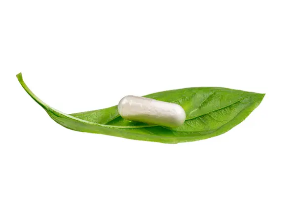 Close Vstevia Leaves Pills Used Natural Sweetener Stevia Rebaudiana — Stock Photo, Image