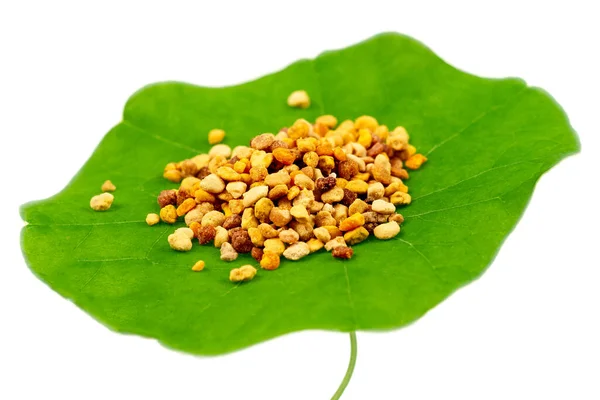 蜜蜂花粉在绿色的玉米片叶白背景上的宏观照片 生褐色 橙色和蓝色花花粉 — 图库照片