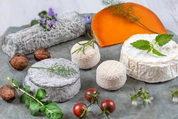 Výběr Různých Druhů Sýrů Chutný Čerstvý Sýr — Stock fotografie