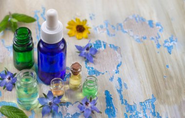 Alternatif tıp, naturopat ve beslenme takviyesi. Kapsüllerdeki bitkiler ve bitkiler beyazdan üstündür.