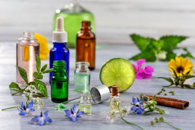 Alternatif tıp, naturopat ve beslenme takviyesi. Kapsüllerdeki bitkiler ve bitkiler beyazdan üstündür.