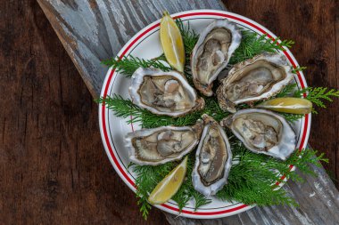 İstiridye taze tabak sağlıklı yemek. Masanın arka plan fotokopisi. Kırsal arka plan manzarası.