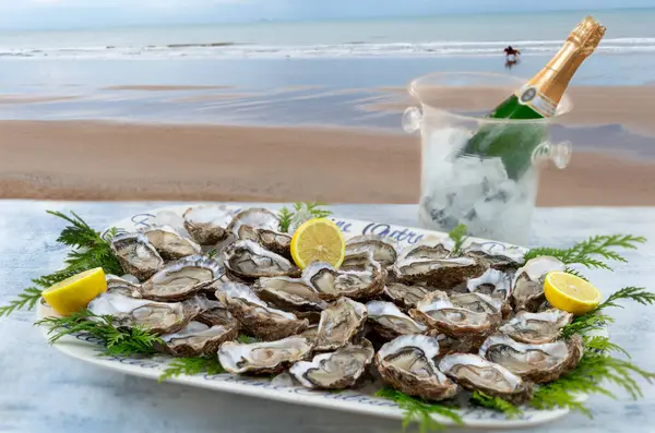 Oysters plate and white wine in a restaurant with a sea view