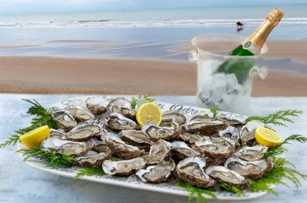 Austernteller Und Weißwein Einem Restaurant Mit Meerblick Stockbild