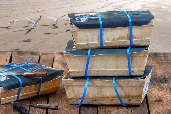 Frische Austern Verpackt Transportbox Meeresfrüchte lizenzfreie Stockfotos