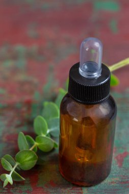 Organik okaliptüs esaslı yağlar ve taze okaliptüs dalı spa ve sağlık konsepti. Alternatif tıp konsepti.