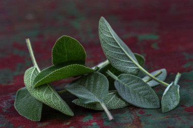 Tatlı taze adaçayı Beyaz ahşap zemin üzerine bırakır. Alternatif Tıp taze Ada çayı düz lay ile.