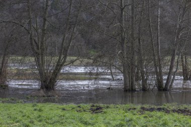 Normandiya, Fransa, Avrupa: Tarımsal ortamda hasara yol açan iklim değişikliğine bağlı olarak dış fotoğraf çekimi su taşkınları