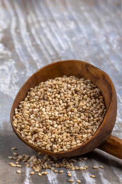 A wooden spoon filled with freshly harvested sesame seeds rests on a textured rustic surface. The light brown seeds display their natural hue, highlighting their culinary value. The background offers clipart