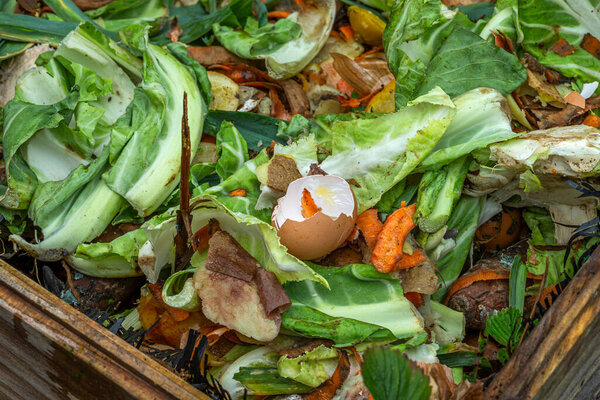 Close-up of a garden compost bin filled with various organic waste, including vegetable scraps, eggshells, and green leaves. This mixture promotes decomposition and soil enrichment.