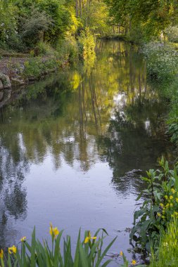 Huzurlu bir nehir, canlı yeşillikler ve çiçek açan çiçeklerle çevrili yemyeşil bir parkın içinden yavaşça akar. Güneş ışığı ağaçların arasından süzülüp, barışçıl bir atmosfer yaratır..