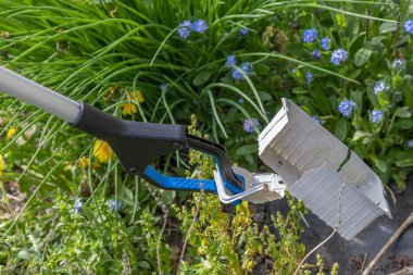 Metal kepçeli bir bahçe aleti canlı yeşil yapraklar ve mavi çiçeklerin arasında gösteriliyor. Sahne, bahar bahçıvanlığının ve bitki bakımının özünü yansıtıyor..