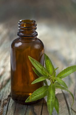 Kahverengi bir cam şişe, yanında taze yeşil yapraklar bulunan, kırsal bir ahşap masanın üzerinde dikilir. Doğal ışık, şişenin parlak yüzeyini ve canlı yapraklarını vurgular..