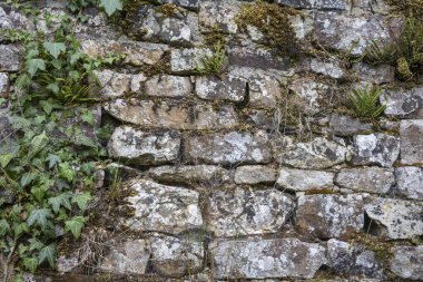 Bu dayanıklı taş duvar, yeşil sarmaşık ve yosunların yıpranmış taşlara tutunduğu bir dizi doğal dokuya sahip. Duvar, doğanın güzelliğini gösteriyor. Zamanla dayanıklılığı..