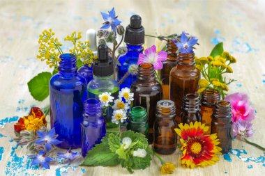 Renkli bitkiler ve çiçeklerle dolu çeşitli cam şişelerden oluşan bir koleksiyon, kırsal ahşap bir yüzey üzerinde dikkatlice düzenlenmiştir, doğal elementlerin çeşitli çözümleri sergilenmektedir..