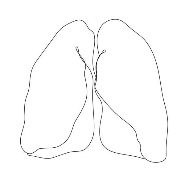 Polmoni Una Linea Uno Sfondo Bianco Organo Respiratorio Umano Doodle — Vettoriale Stock